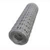 Galvanized Welded Wire Mesh 