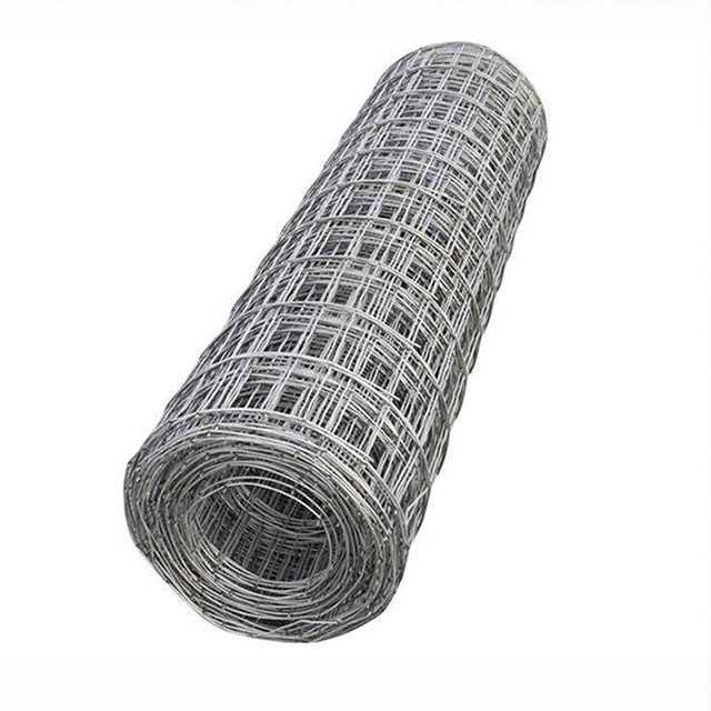 Galvanized Welded Wire Mesh 