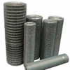 Galvanized Welded Wire Mesh 