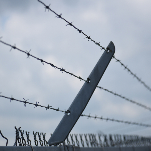Barbed Wire