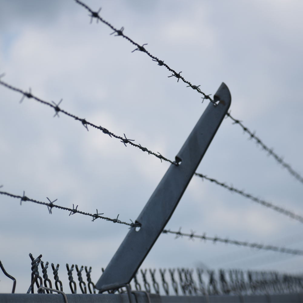 Barbed Wire
