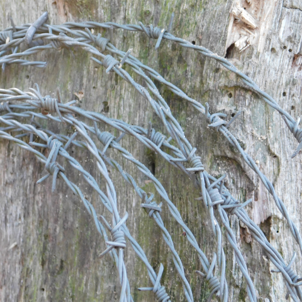 Barbed Wire