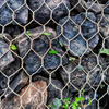 Hexagonal Gabion Wire Mesh