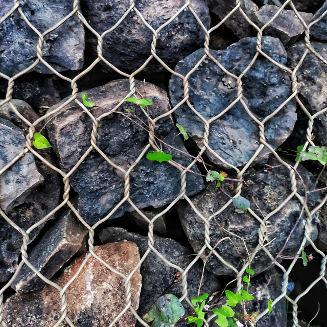 Hexagonal Gabion Wire Mesh