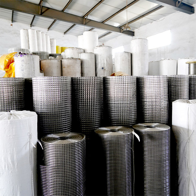 Galvanized Welded Wire Mesh 
