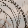 Razor barbed wire