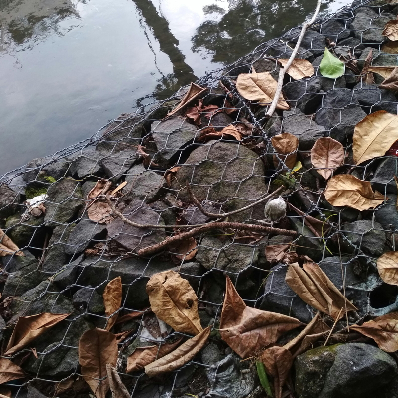 Hexagonal Gabion Wire Mesh