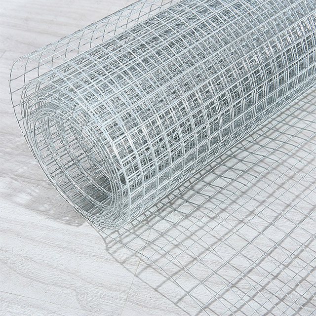 Galvanized Welded Wire Mesh 