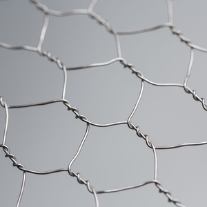 stainless steel hexagonal wire mesh